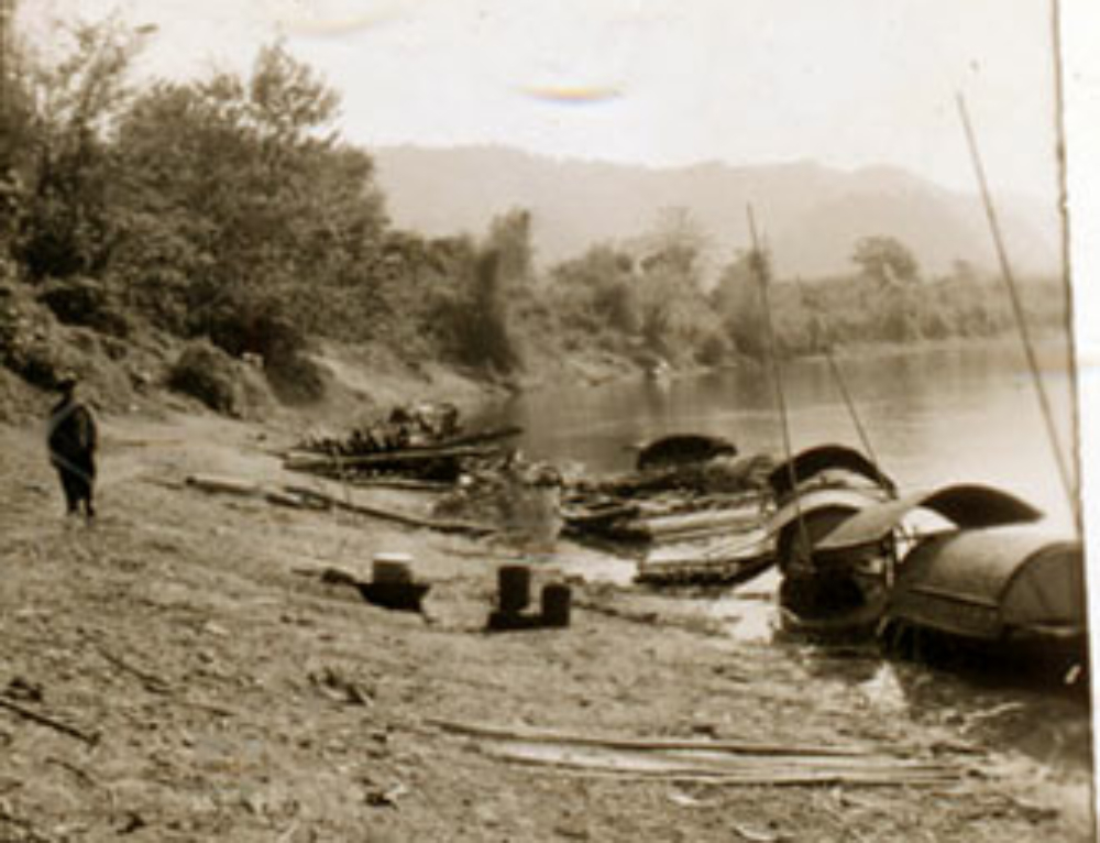 Bộ sưu tập BURCHETT